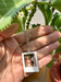 Polaroid Necklace